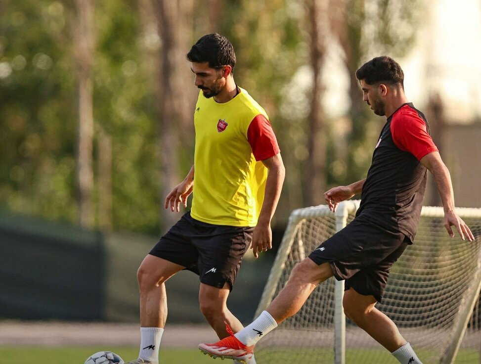 هافبک معتبر هاشمی پرسپولیس